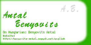 antal benyovits business card